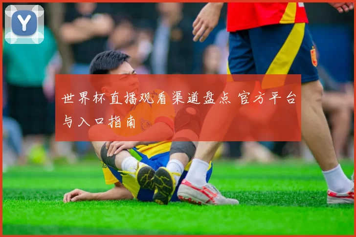 世界杯直播观看渠道盘点 官方平台与入口指南
