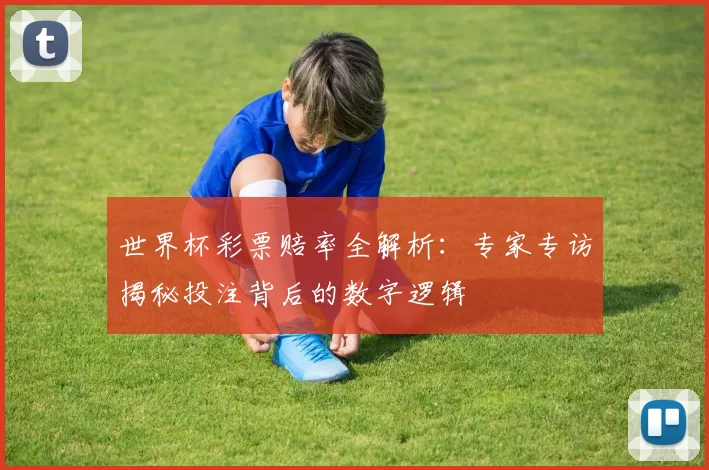 世界杯彩票赔率全解析：专家专访揭秘投注背后的数字逻辑