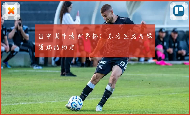 当中国申请世界杯：东方巨龙与绿茵场的约定