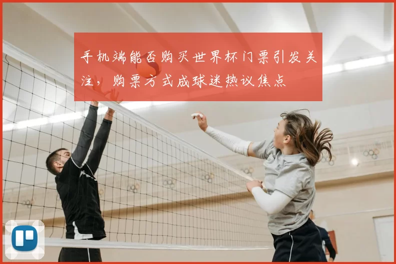 手机端能否购买世界杯门票引发关注,购票方式成球迷热议焦点