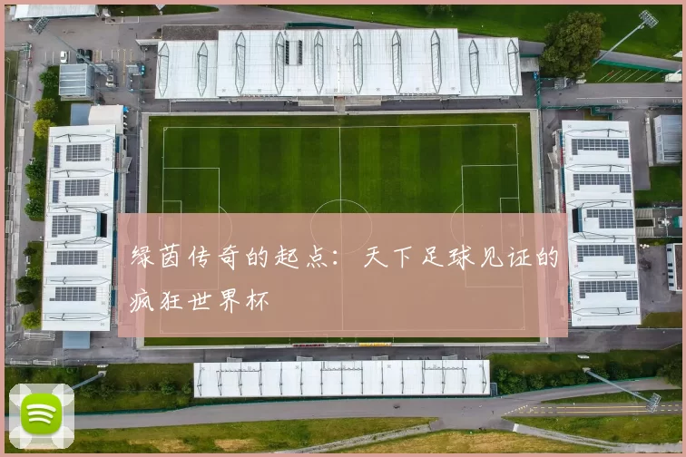 绿茵传奇的起点:天下足球见证的疯狂世界杯
