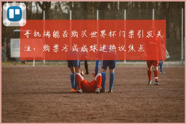 手机端能否购买世界杯门票引发关注,购票方式成球迷热议焦点