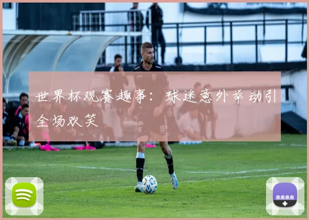 世界杯观赛趣事:球迷意外举动引全场欢笑