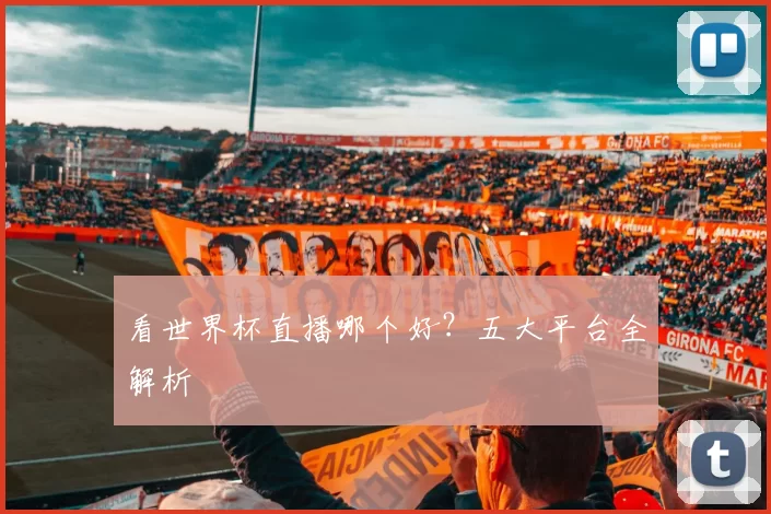 看世界杯直播哪个好?五大平台全解析