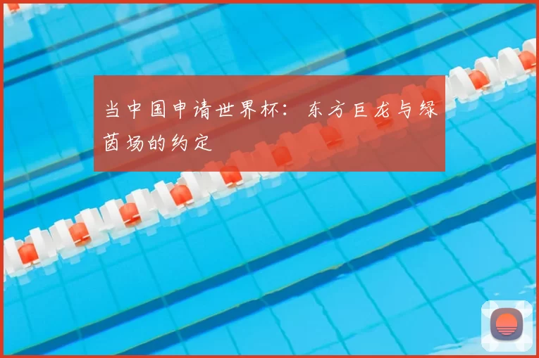 当中国申请世界杯:东方巨龙与绿茵场的约定