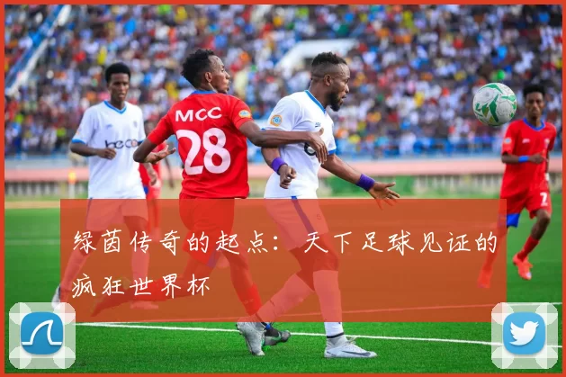绿茵传奇的起点:天下足球见证的疯狂世界杯