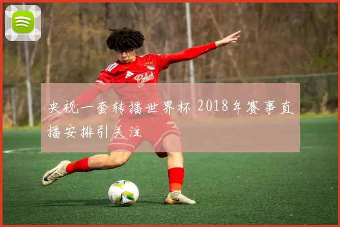 央视一套转播世界杯 2018年赛事直播安排引关注